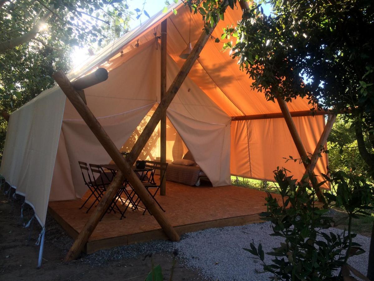 Bnatural Glamping Naturista/Nudista Baratti Eksteriør bilde