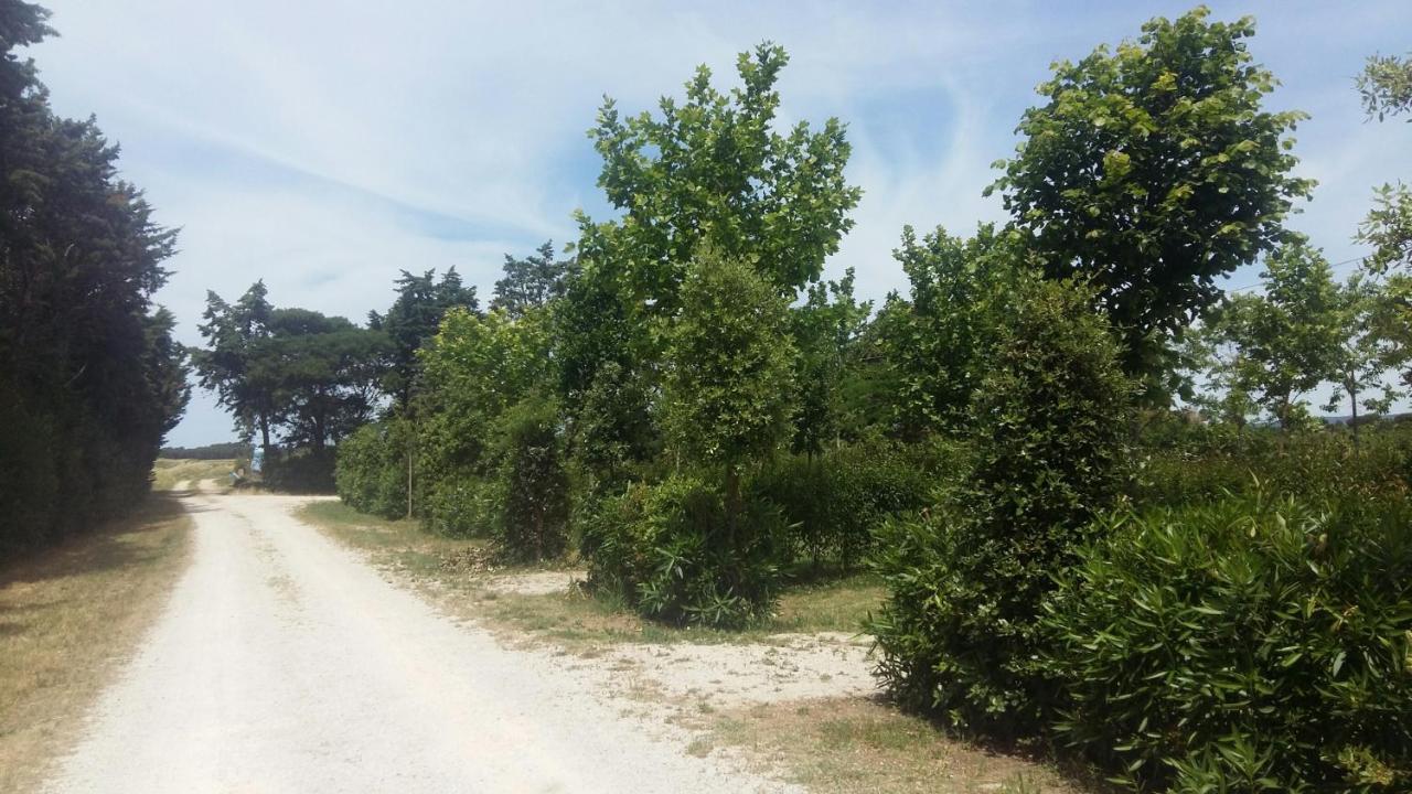 Bnatural Glamping Naturista/Nudista Baratti Eksteriør bilde