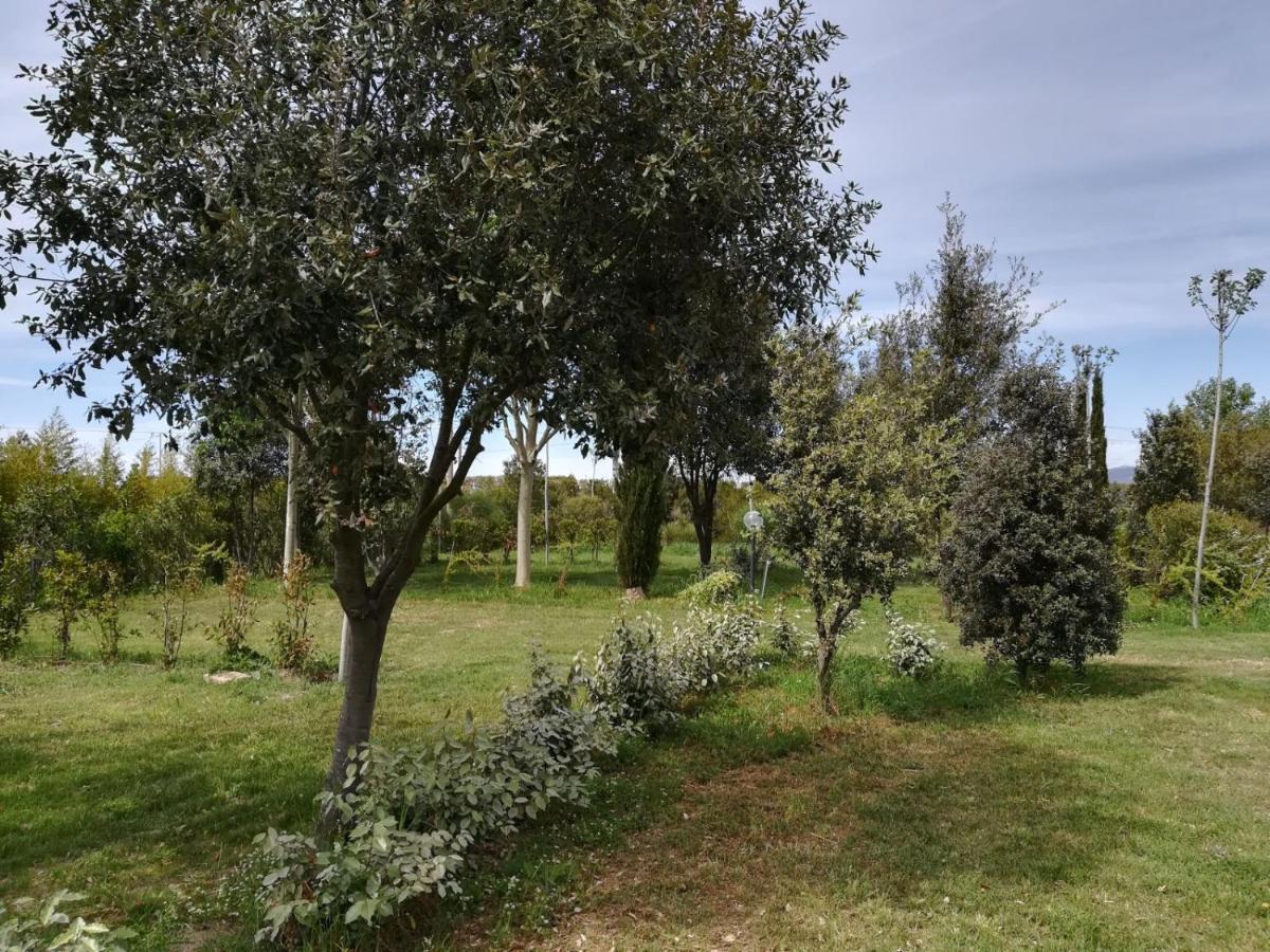Bnatural Glamping Naturista/Nudista Baratti Eksteriør bilde
